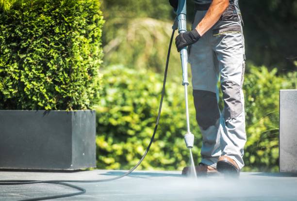 Best Warehouse Cleaning  in Danvle, IL