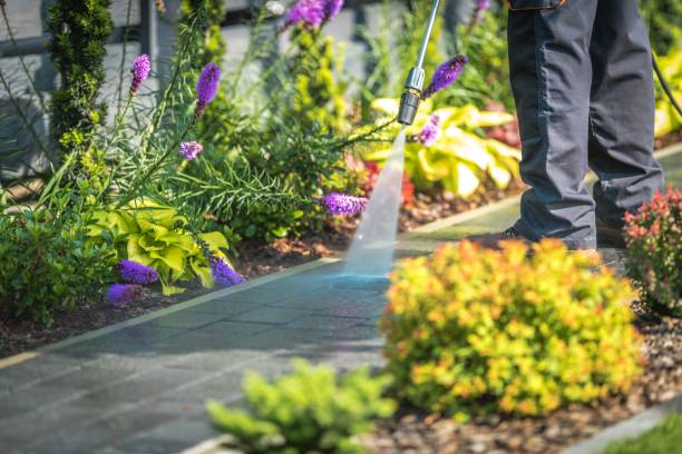 Best Restaurant Pressure Washing  in Danvle, IL