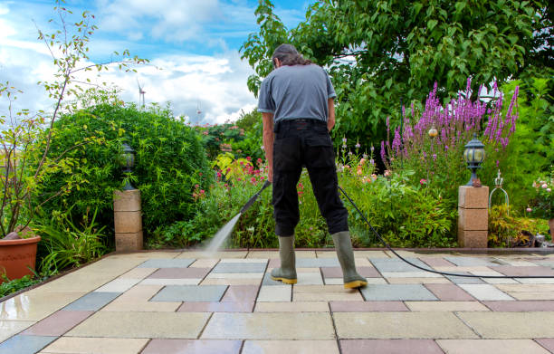 Best Animal Enclosure Cleaning  in Danvle, IL